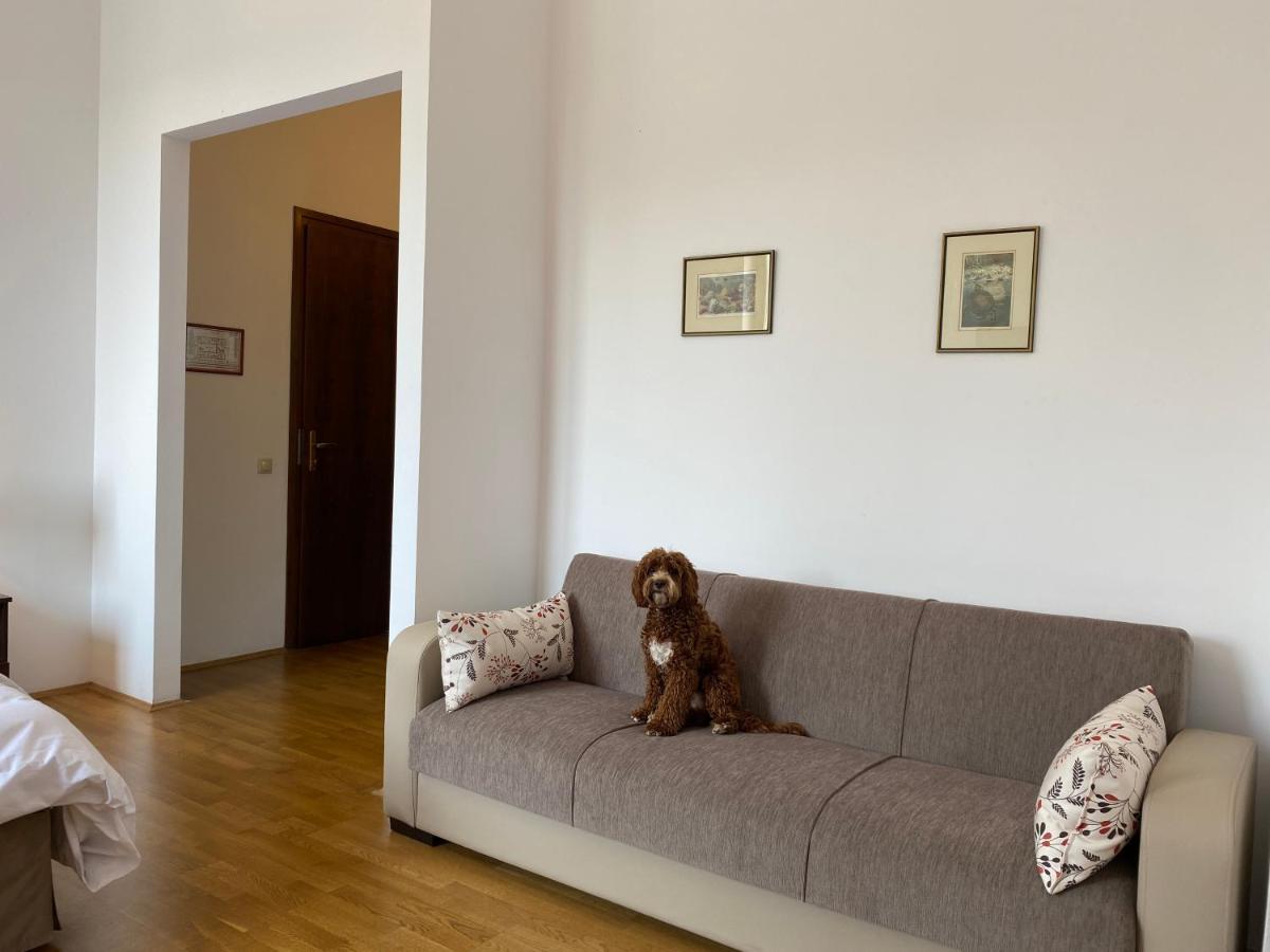 Kakasszeki Vendeghaz Hotel Szekkutas Bagian luar foto