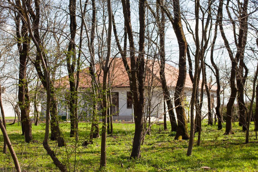Kakasszeki Vendeghaz Hotel Szekkutas Bagian luar foto